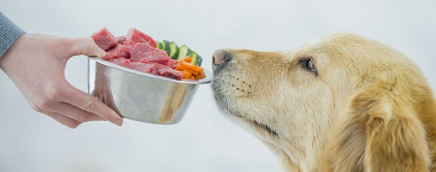 Raw Food Diet For Dogs